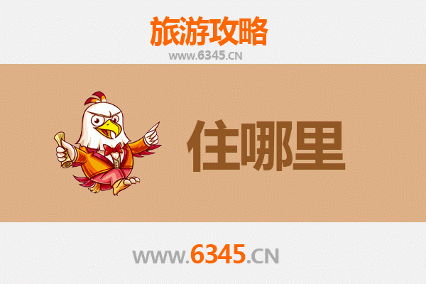 开封金明旅游民宿全攻略：沉浸式体验古都风情